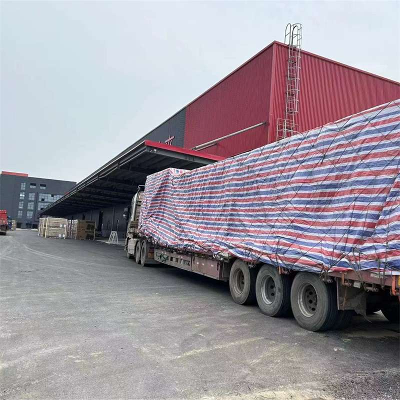 辰溪县渝中区物流：多元服务与运输线路探秘