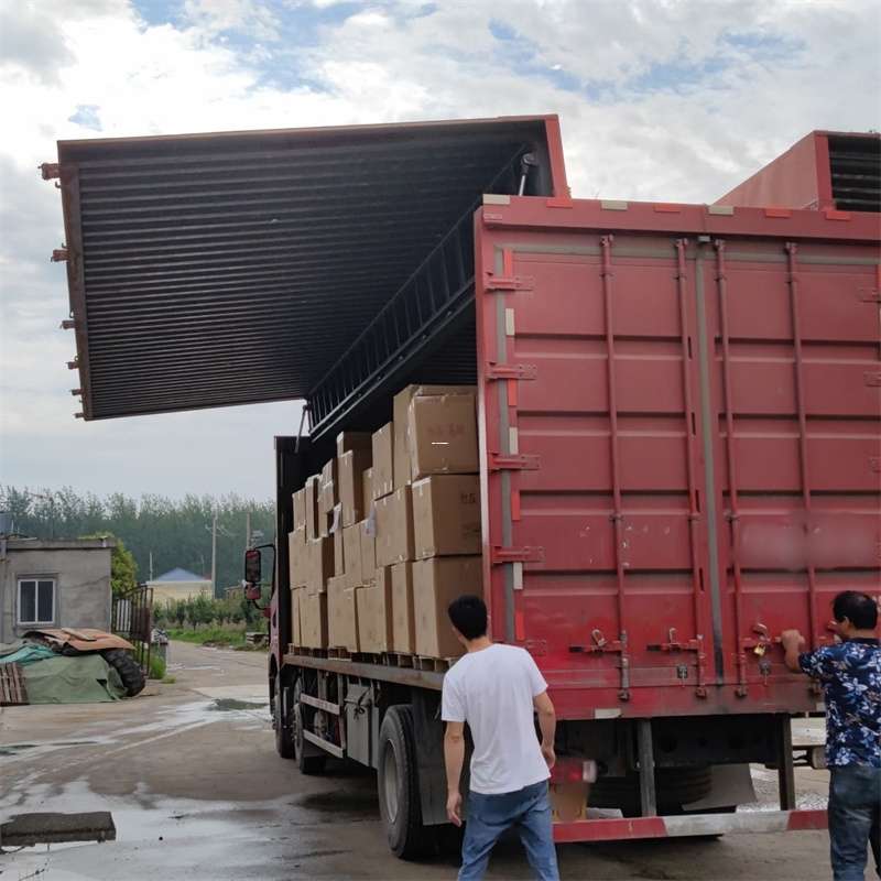 辰溪县扎囊县：物流专线的高效货运之旅